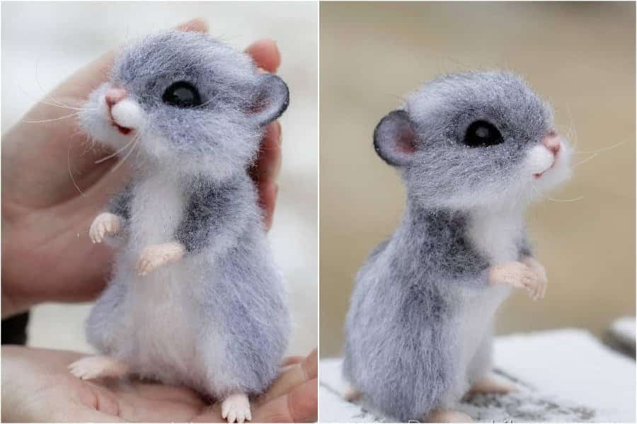 Mouse or a hamster | Super Realistic And Extra Cute Felt Animals By Russian Artist | Brain Berries