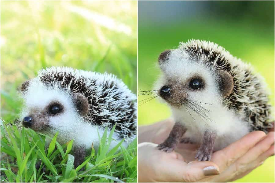 Wool hedgehog | Super Realistic And Extra Cute Felt Animals By Russian Artist | Brain Berries