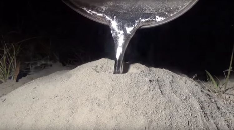 Molten Aluminum