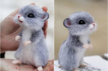 Super Realistic And Extra Cute Felt Animals By Artist