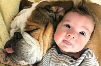 20+ Photos That Prove Every Kid Needs a Pet